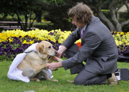 澳大利亚男子与宠物狗结婚