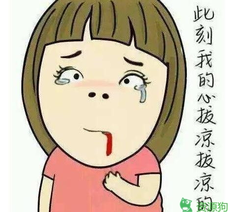凉了凉了是什么梗
